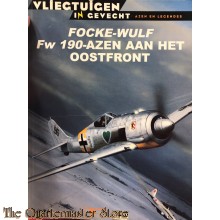 Focke Wulff FW 190 azen aan het Oostfront (Vliegtuigen in gevecht)