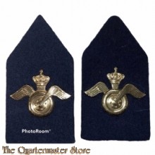 Kraag emblemen Regiment Aan en Afvoertroepen