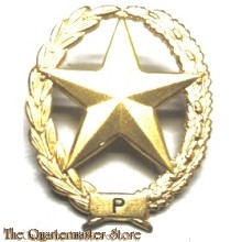 Metalen Brevet PISTOOL Nederlands leger ( Dutch pistol sharpshooter badge)
