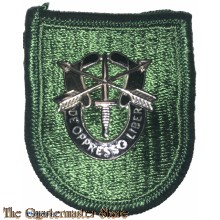Beret flash 10 Special Forces Group 