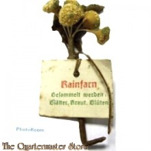 Spende abzeichen Blatter Krauter Bluten Rainfarn (Donation item WhW dried flower)