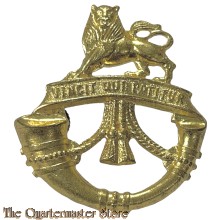 Badge Rand light Infantry South Africa (variation)