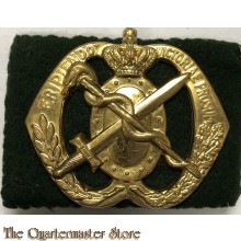 Baret embleem Regiment Geneeskundige Troepen 