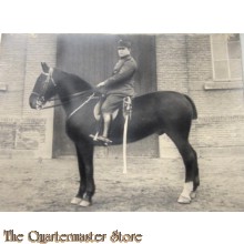 Grote Foto huzaar te paard 1915 40 x 29 cm