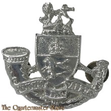 Badge Durban light Infantry South Africa 