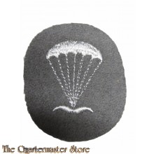Bundeswehr - luftwaffe badge