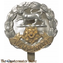 Cap badge the Hampshire Regiment 
