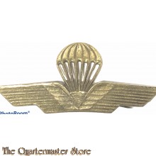 Italy - Parachutist Qualification Badge 1960s