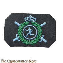 KLu Vaardigheids embleem Sportinstructeur (officier)