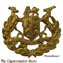 Badge Warrant Officer 1  South Africa (gilded metal)