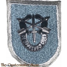 Beret flash 19 Special Forces Group