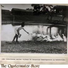 Press photo , WW1 Western front , Scholars work during holidays on farms