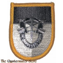 Beret flash Special warfare training group