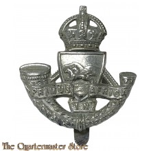 Badge Durban Light Infantry