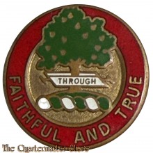 Distinctive unit insignia (DUI) 5th Field Artillery Regiment (Denmark)