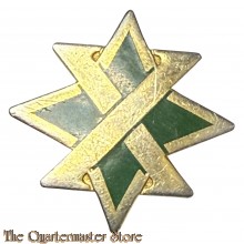 Distinctive unit insignia (DUI) 95th Military Police Battalion (V21) 