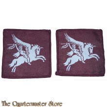 Division badges pair Pegasus Airborne (new)