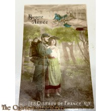 France - WW1 Postcard Bonne annee , Les oiseaux de France