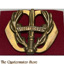Baret embleem Regiment Stoottroepen