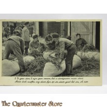 Prent briefkaart mobilisatie 1940 Stroo zoo