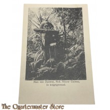 Ansicht - Man van Djamna, Ned. Nieuw Guinea, in krijgsgewaad