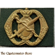 Baret embleem Regiment Geneeskundige Troepen 