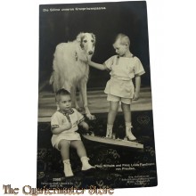 Photo 1909 Prinz Wilhelm und Prinz Louis Ferdinand von Preußen