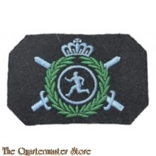 KLu Vaardigheids embleem Sportinstructeur (officier)