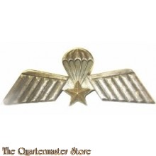 Wing, Netherlands Army 104 Recon Company 