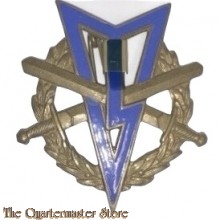 Metalen Brevet MLV embleem met zwemmen
