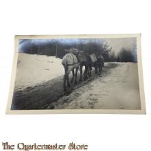 (Feld) Postkarte 1916 Deutsche Kavalerie 