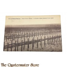 France - Postcard 1917 601. La Maison-Blanche - Route d'Arras à Souchez - Le Cimetière militaire allemand, 36.000 tombes