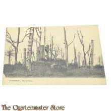 France - Postcard 1914 ZONNEBEKE, - Bois de Potijze