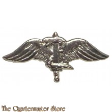 Israël - Pin Combat Paratrooper prior former warrior 