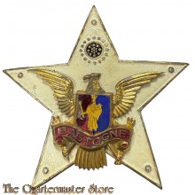 Metal car plate Bastogne Veteran