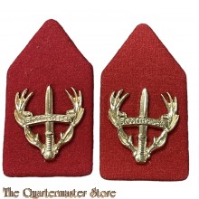 Kraag emblemen Regiment Stoottroepen 