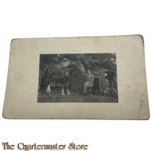 (Feld) Postkarte 1915 Deutscher Kavalerist mit Pferd und Sattel