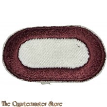 US Army parachute oval 307th Medical Battalion