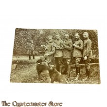 Postkarte/ Photo 1915 4 Deutsche Soldaten mit 2 Hunde