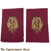 France WW1 set Unmounted doctor's collar badges