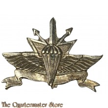 35th Paratroopers infantry brigade Teleprocessing Company