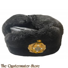 Russia - Fake Sheepskin Navy Ushanka