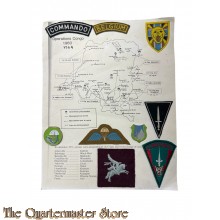 Belgium - Badges as used during Operations in Congo 1960/64