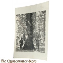 (Feld) Postkarte 1917 Rittmeister Edgar Wagner Etappenfuhrparkkolonne 4 eins B. 19. Ersatzdivision Armeeabteilung A.