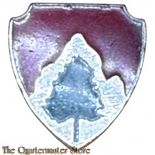 Distinctive unit insignia (DUI) 23rd Engineer Battalion (Ira Green)