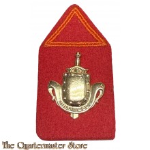 Kraagspiegel opleiding Dienstplichtig Onderofficier Infanterie