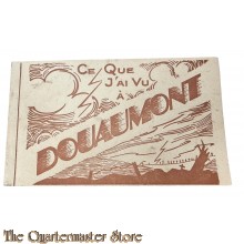 France - Souvenir Postcards Ce que  J’ai vu a Douaumont