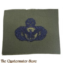 US Air Force Security Police badge (subdued)