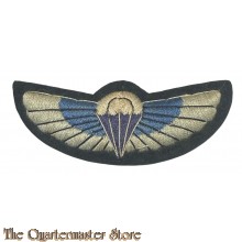 Modern SAS corps wing