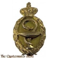 Brevet Hogere Militair-farmaceutisch Bekwaamheid (Apotheker) (Badge Military Phamasist)